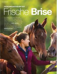 Mein Pferd: Frische Brise (Ausgabe: 4)