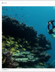 unterwasser: Gut kombiniert (Ausgabe: 4)