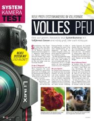 Audio Video Foto Bild: Volles Pfund von Panasonic (Ausgabe: 5)