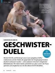 fotoMAGAZIN: Geschwister Duell (Ausgabe: 10)