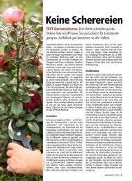 Konsument: Keine Scherereien (Ausgabe: 5)