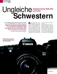 ColorFoto: Ungleiche Schwestern (Ausgabe: 5)