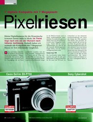 ColorFoto: Pixelriesen (Ausgabe: 6)