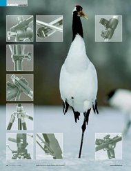 ColorFoto: Standhafte Gesellen (Ausgabe: 3)