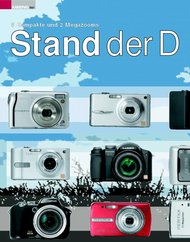 ColorFoto: Stand der Dinge (Ausgabe: 5)