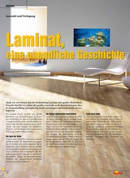 Heimwerker Praxis: Laminat, eine unendliche Geschichte (Ausgabe: 2)