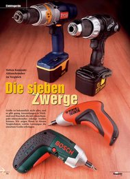 Heimwerker Praxis: Die sieben Zwerge (Ausgabe: 1)