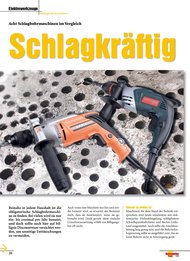 Heimwerker Praxis: „Schlagkräftig“ - Oberklasse (Ausgabe: 1)
