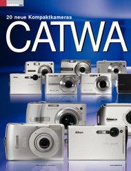 ColorFoto: Catwalk (Ausgabe: 6)