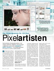 ColorFoto: Pixelartisten (Ausgabe: 6)