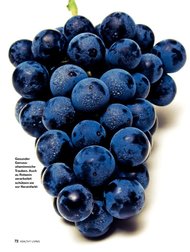 healthy living: Prosit, Bio (Ausgabe: 1)