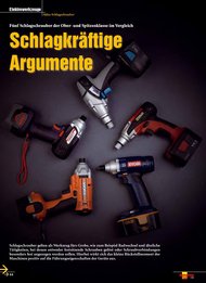 Heimwerker Praxis: Schlagkräftige Argumente (Ausgabe: 3)