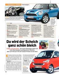 Guter Rat: Da wird der Scheich ganz schön bleich (Ausgabe: 8)