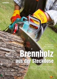 Heimwerker Praxis: Brennholz aus der Steckdose (Ausgabe: 6)