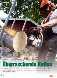 Heimwerker Praxis: „Überraschende Ketten“ - Elektrokettensägen (Ausgabe: 5)