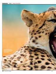 SPIEGELREFLEX digital: „SLRs so scharf wie noch nie“ - Mittelklasse (Ausgabe: 4)