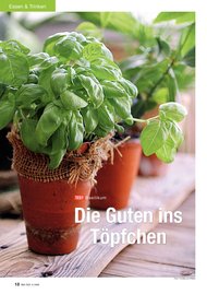 ÖKO-TEST: Die Guten ins Töpfchen (Ausgabe: 4)