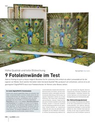 DigitalPHOTO: 9 Fotoleinwände im Test (Ausgabe: 12)
