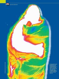 ALPIN: Daune oder Feder (Ausgabe: 2)