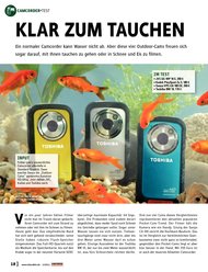VIDEOAKTIV: Klar zum Tauchen (Ausgabe: Sonderheft Camcorder Kaufberater 1/2011)