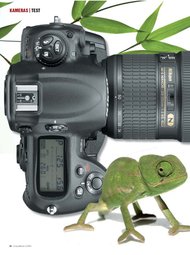 ColorFoto: Wegweisend (Ausgabe: 3)