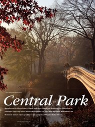 CONNECTED HOME: Central Park (Ausgabe: 1)