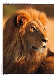 FOTOTEST: Dem König ganz nah (Ausgabe: Nr. 3 (Mai/Juni 2012))