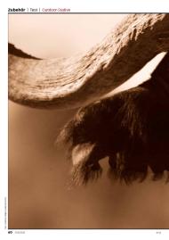 FOTOTEST: Aug' in Aug' (Ausgabe: Nr. 6 (November/Dezember 2012))