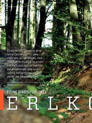 bikesport E-MTB: Erlkönige (Ausgabe: 11-12/2012 (November/Dezember))