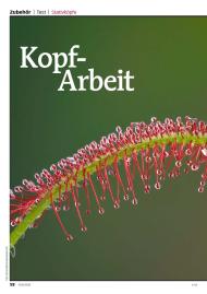 FOTOTEST: Kopf-Arbeit (Ausgabe: Nr. 1 (Januar/Februar 2013))