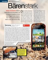 SFT-Magazin: Bärenstark (Ausgabe: 5)