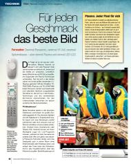 SFT-Magazin: Für jeden Geschmack das beste Bild (Ausgabe: 8)