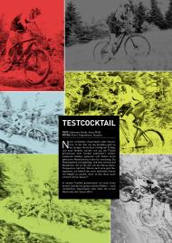 World of MTB: Testcocktail (Ausgabe: 10)