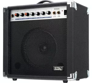 Soundking AK20-GR von Soundking