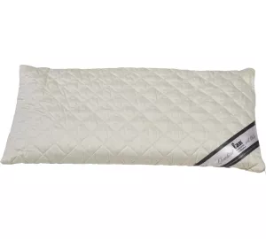 f.a.n. Sleep & Care Dinkelkissen von Frankenstolz
