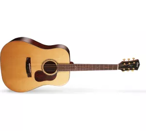 Cort Gold D6 von Cort