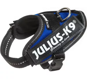 Julius-K9 IDC-Powergeschirr mit Sicherheitsgurt in rot von JULIUS-K9