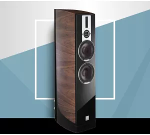 Dali Epicon 6 von Dali