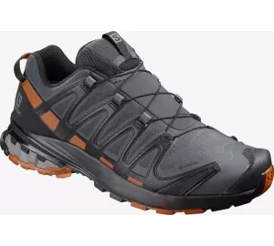 Salomon XA Pro 3D v8 GTX von Salomon