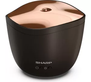 Sharp DF-A1 von Sharp