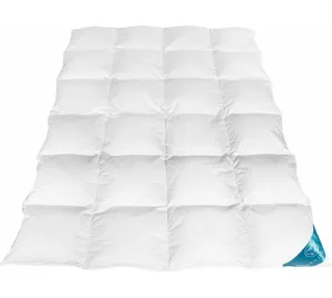 Sandaro Home Natur-Daunen Ganzjahresdecke (1.400 gr) von Sandaro Home