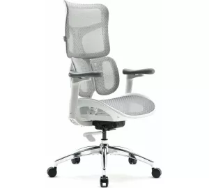 Sihoo Doro S100 von SIHOO