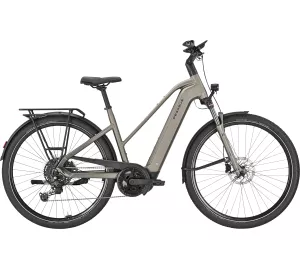 Pegasus Premio EVO 10 Lite Trapez (Modell 2025) von Pegasus