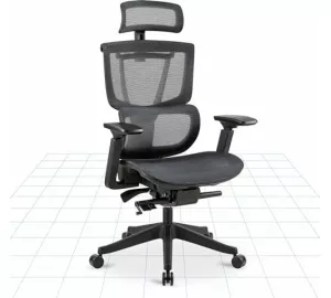 Flexispot C7 von FlexiSpot