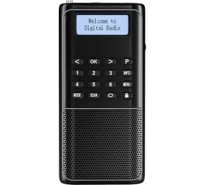 Radioddity Raddy RD23 von Radioddity