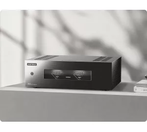 EverSolo AMP-F8 von EVERSOLO