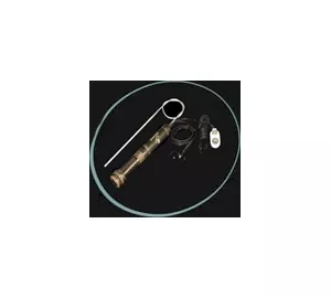 L.R. Baggs Element Active von LR Baggs