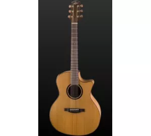 Stanford Guitars 46-D2-CM-ECW von Stanford Guitars