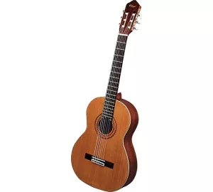 Ortega R-131 SN von Ortega Guitars