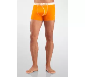 Icebreaker Anatomica Boxers von icebreaker